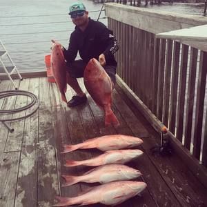 Meet your Posher, Dylan